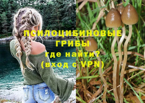 прущие грибы Алексеевка