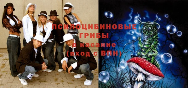 PSILOCYBIN Алексин