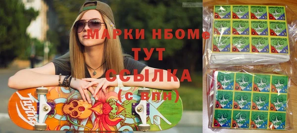 хмурый Алзамай