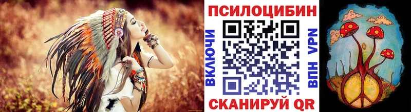 kraken Якутск Псилоцибиновые грибы Magic Shrooms